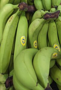 Unripen bananas can causes constipation